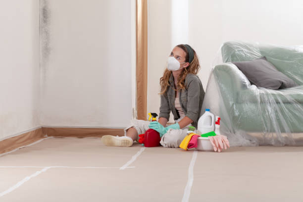 Reliable Mold Inspection contractor in Northumberland, PA by WQB Mold Removal